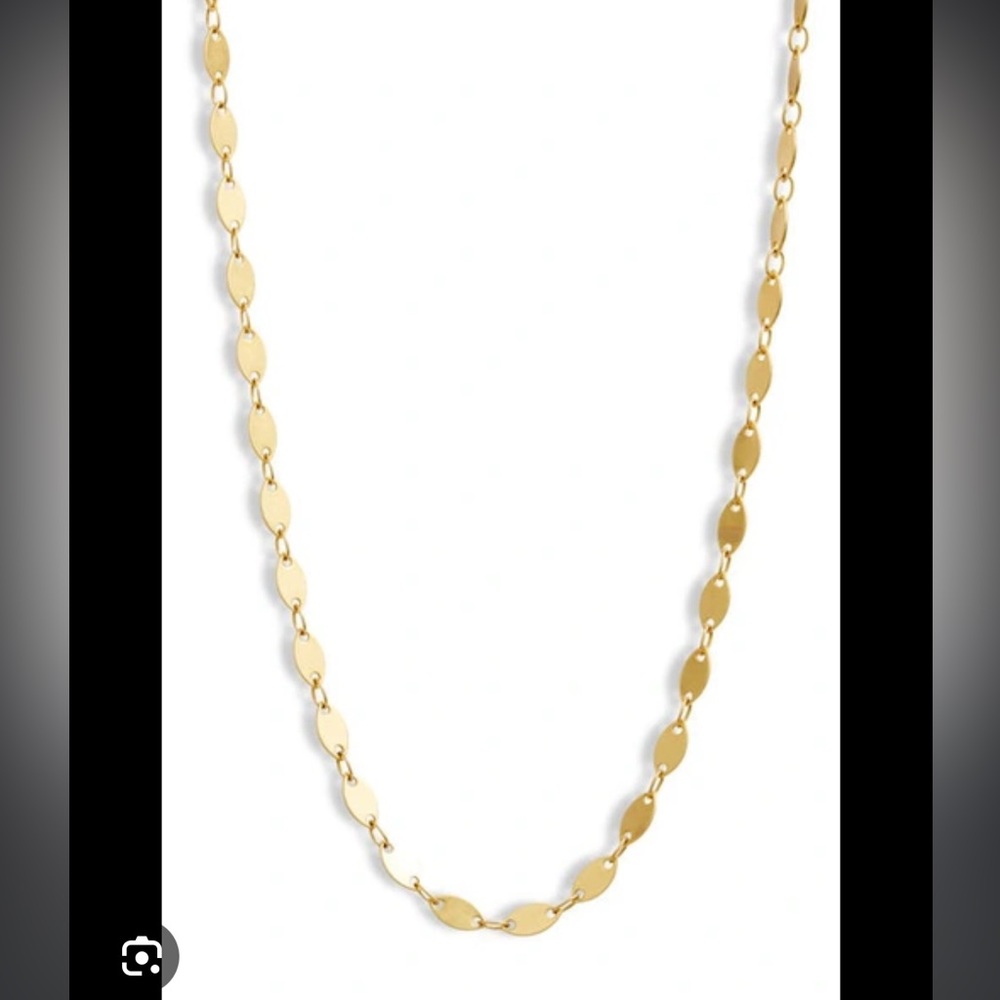 Madewell Oval Disc Chain- NWOT